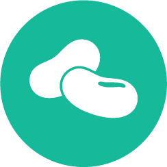 plant slant icon