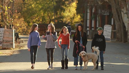 Five adults walking on the sidewalk with their dog