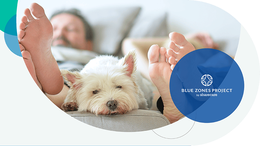 Two adults sleeping on the bed with a sleeping dog between
