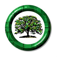 Organization Image